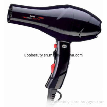 Salon Professional Hair Dryer (5863)